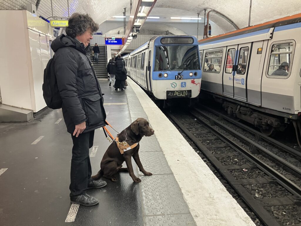 Thor petit chien grand destin